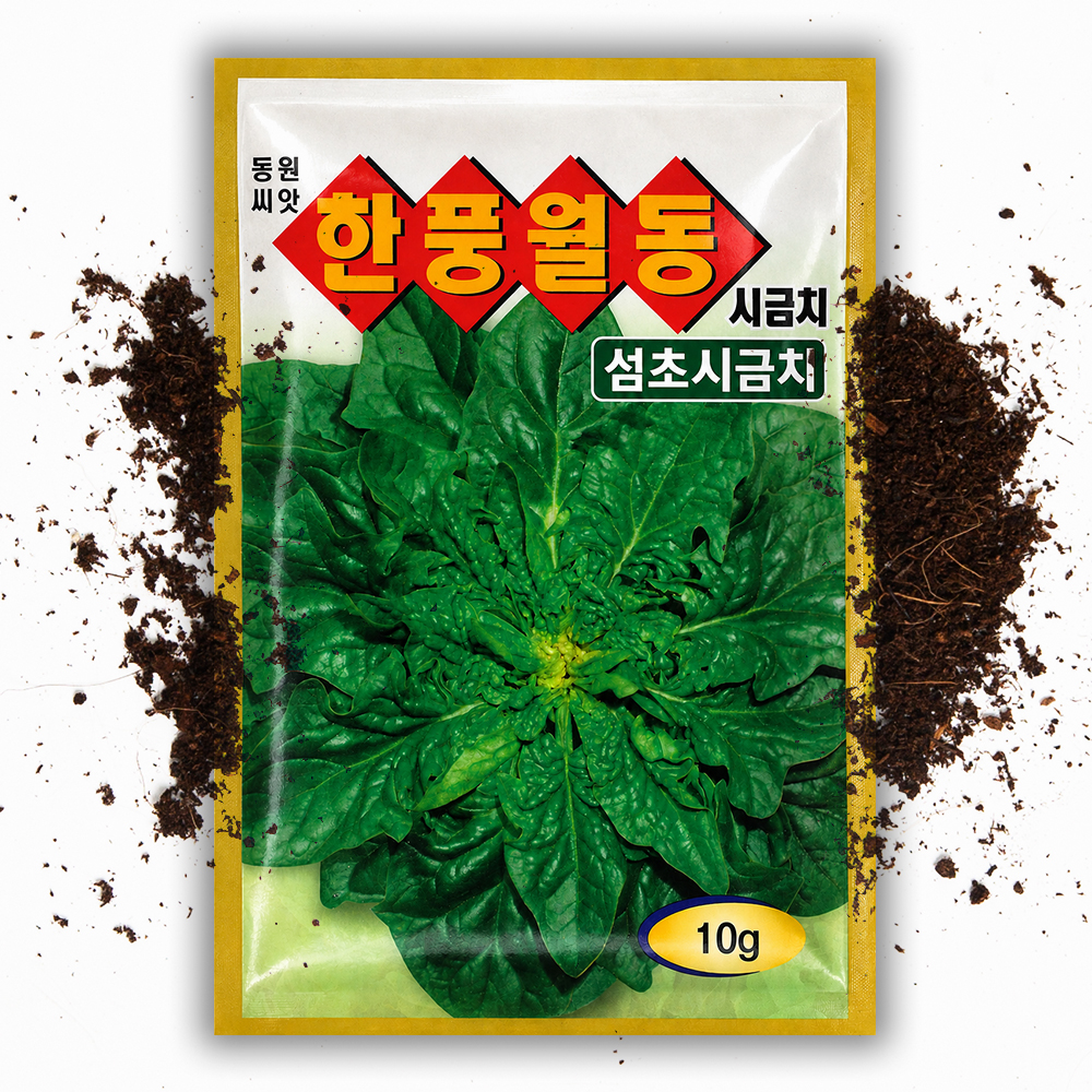 한풍 월동시금치씨앗 10g 겨울 섬초 동초 시금치 씨앗 채소 종자 - 상품 이미지