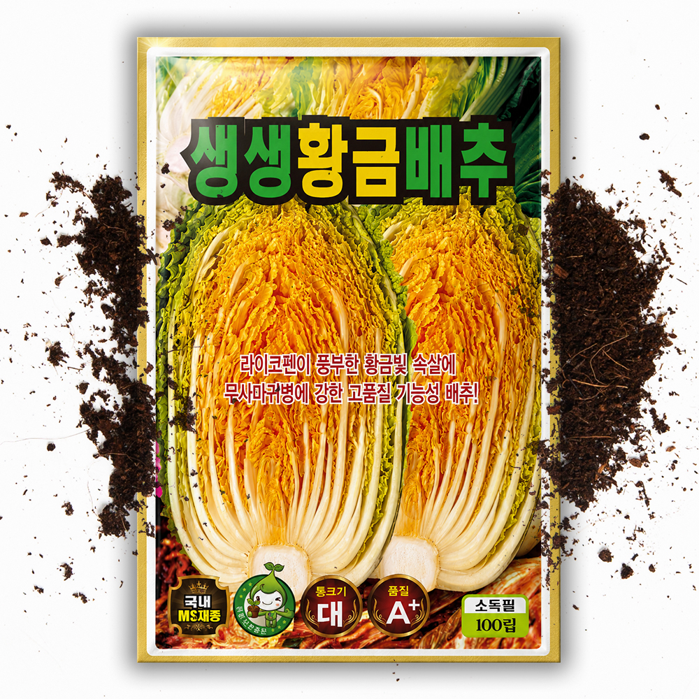 생생 황금배추씨앗 100립 국내산  라이코펜 항암 김장 가을 배추씨앗 배추종자 - 상품 이미지