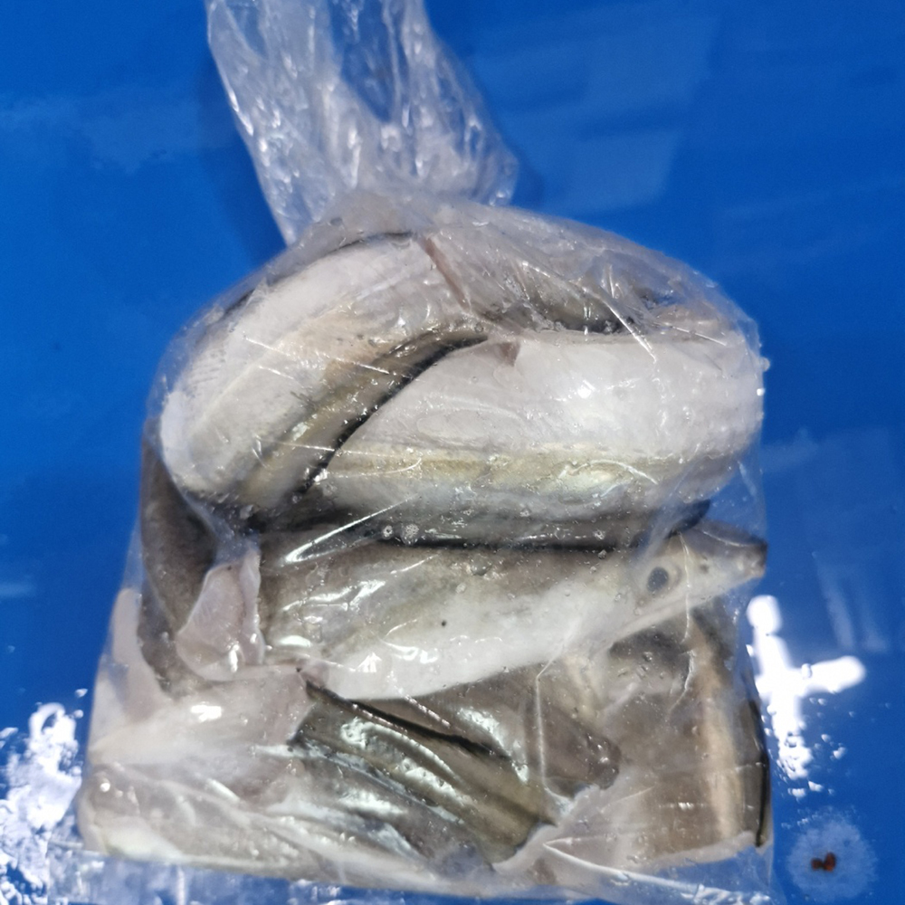 당일조업 손질 출발 갯장어탕·하모탕용 손질 갯장어 1kg(1~4미) 이미지 6