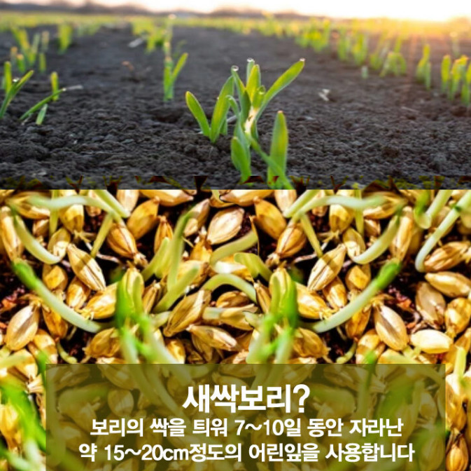 사포나린 새싹보리가루 100% 국내산 풀리코사놀 - 상세 이미지 2