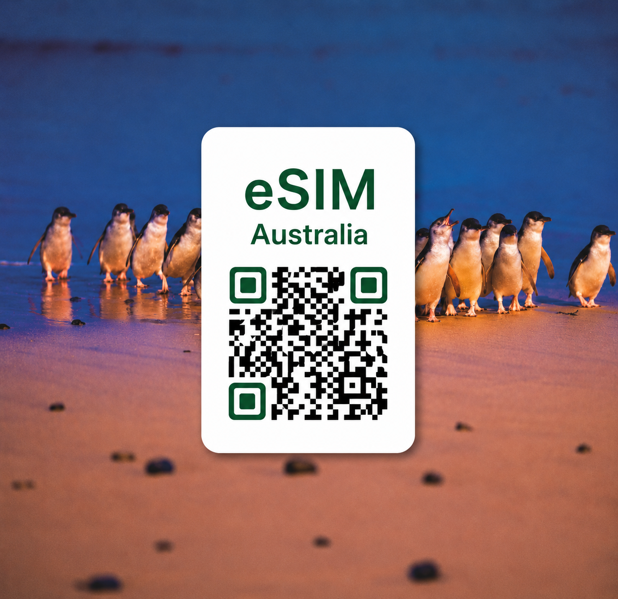 호주 오스트레일리아 이심 eSIM 데이터 전용 매일 무제한 | 시드니·멜버른·골드코스트·케언즈 여행 eSIM | Optus·Telstra 5G | 이심통 - 상품 이미지