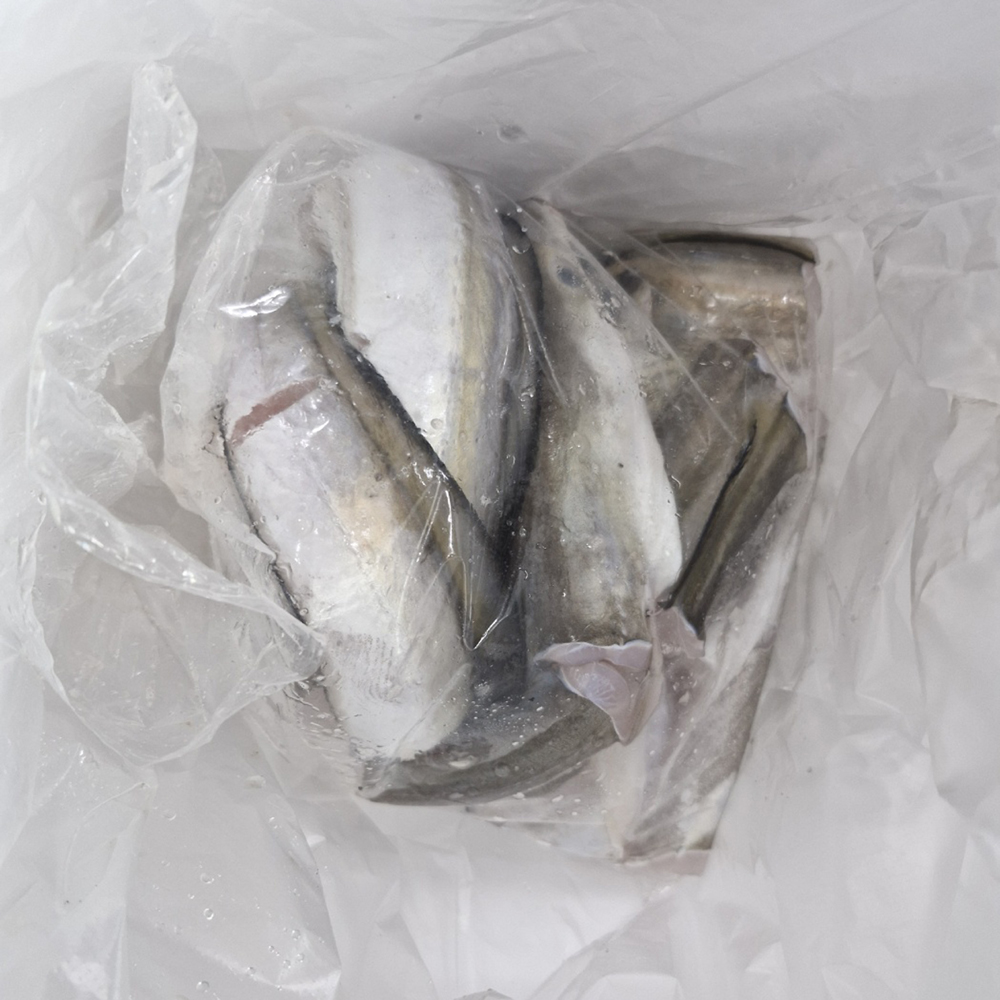 당일조업 손질 출발 갯장어탕·하모탕용 손질 갯장어 1kg(1~4미) 이미지 7