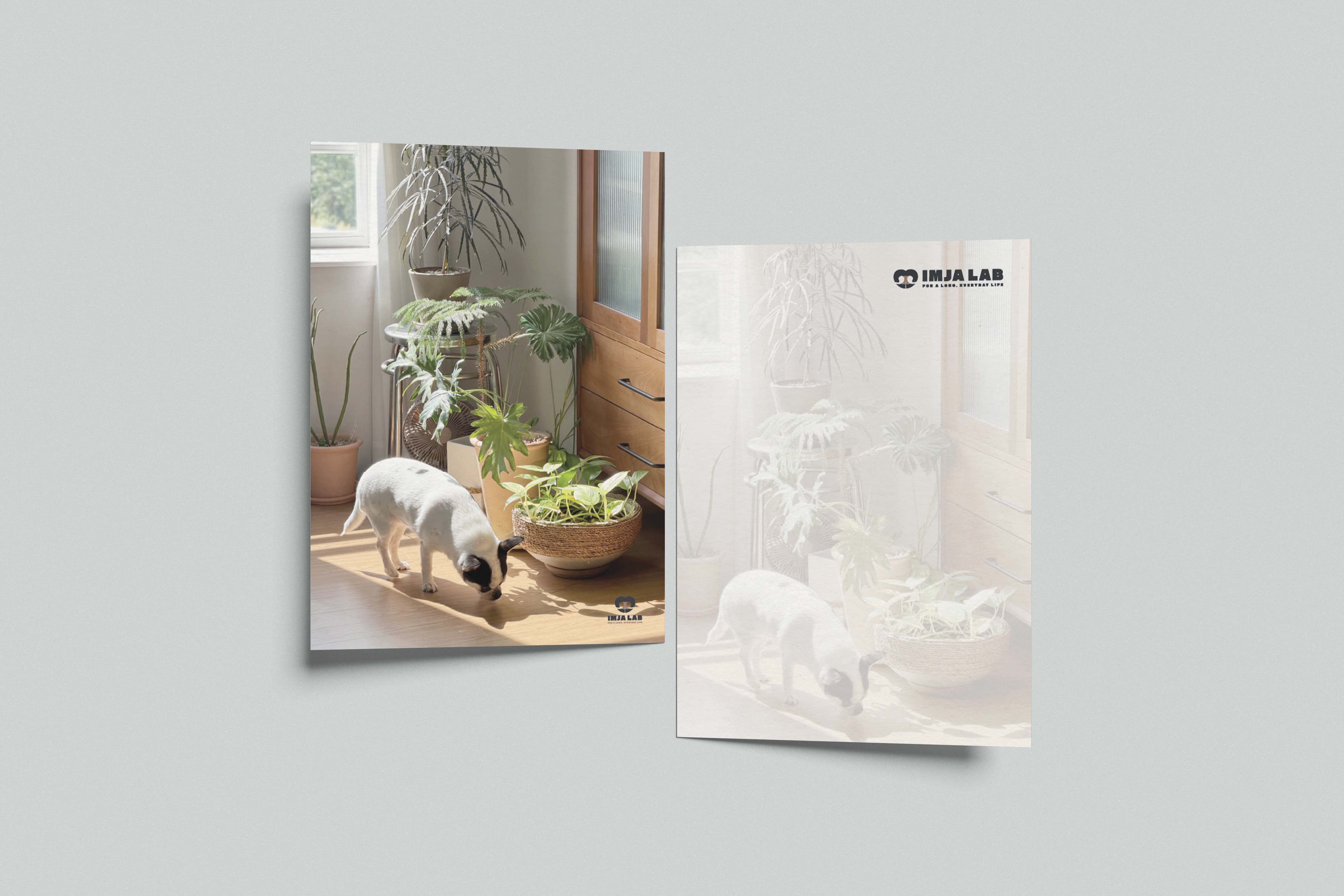 동결건조 강아지 원물 간식 데일리팝 잇츠토핑 프로틴큐브 (25g x 3개) - 상세 이미지 3