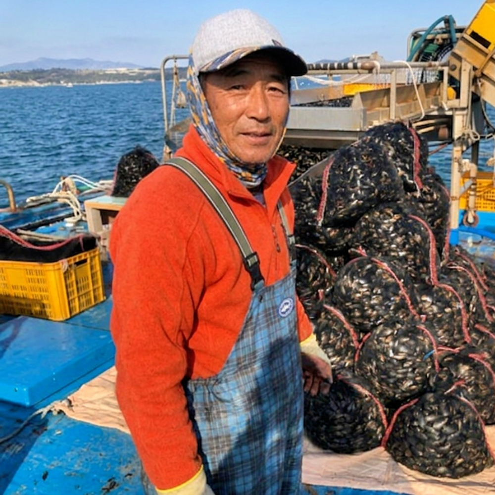 제철홍합 섭홍합 담치 손질 섭 탕 3kg 5kg 10kg - 상품 이미지