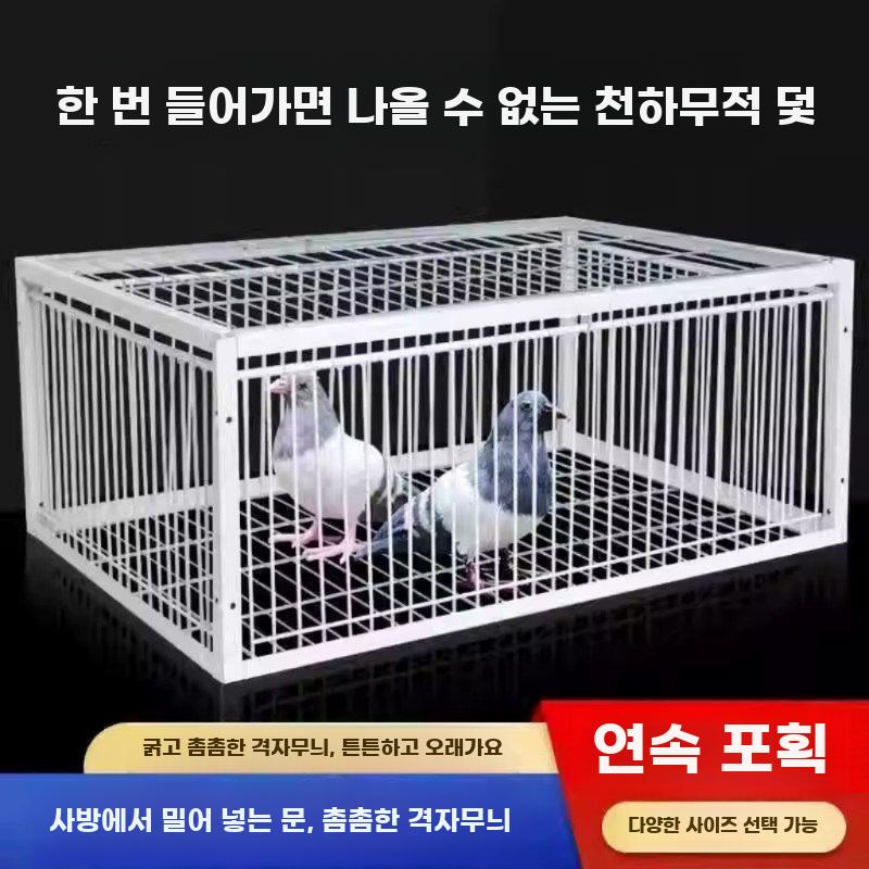 비둘기 포획 케이지 자동 포획망 야외 수집형 트랩 - 상세 이미지 3