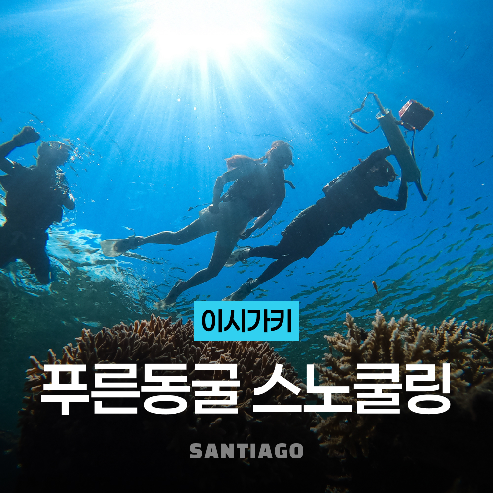 오키나와 이시가키 섬 바다 거북이 푸른동굴 스노클링 호핑투어 (수중 촬영, 픽업 드랍) - 상품 이미지