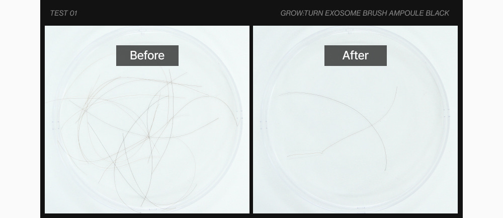 LILYEVE Growturn Exosome Brush Black Ampoule - description 27