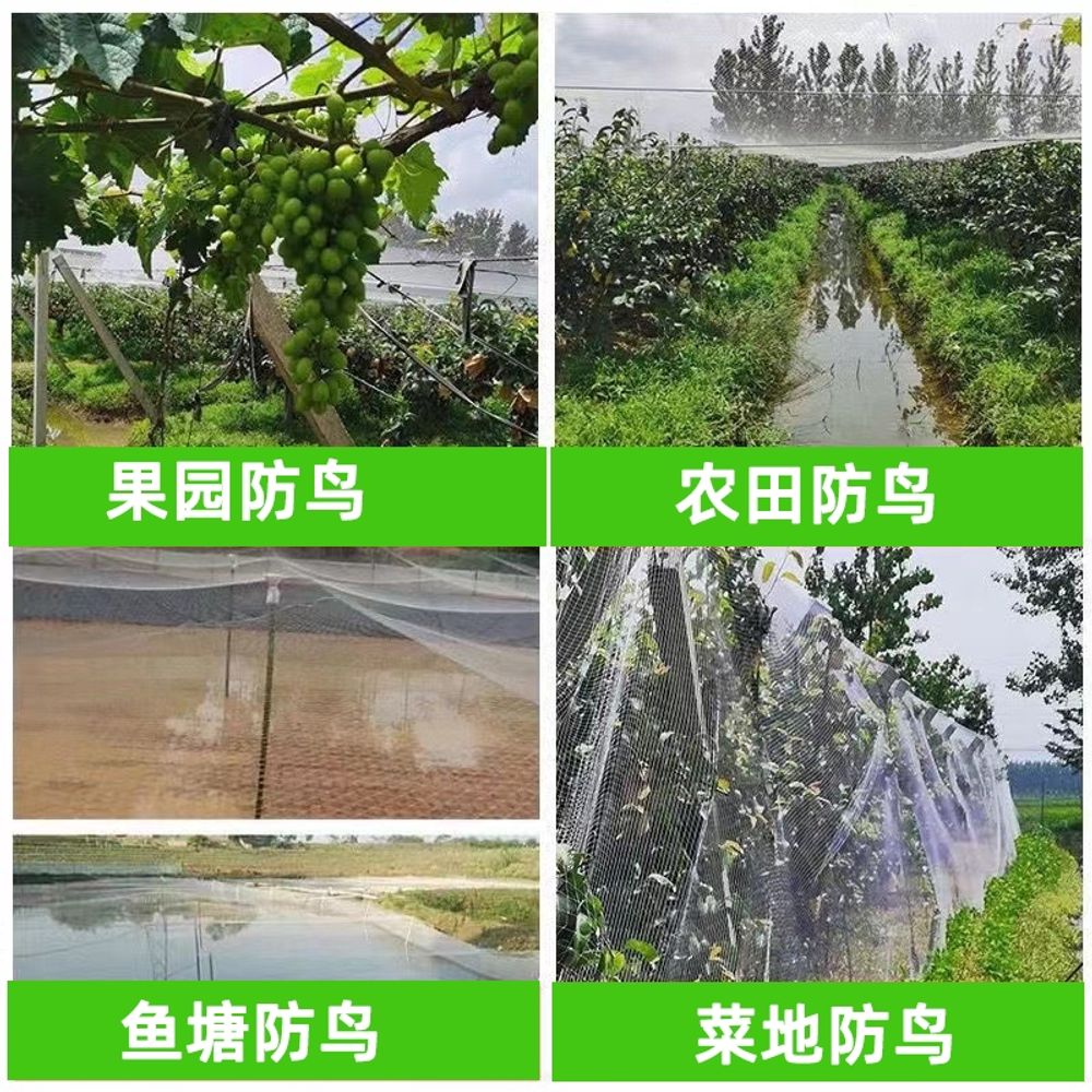 조류그물망 블루베리새망 농사 텃밭 과수원 보호덮개 B. 2m x 10m 2.0메쉬 - 상세 이미지 2
