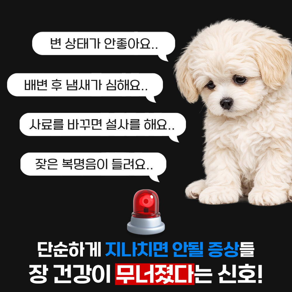 펫인케어 강아지 유산균 장건강 변비 설사 영양제 멀티 바이오핏 30포, 1개 - 상세 이미지 4