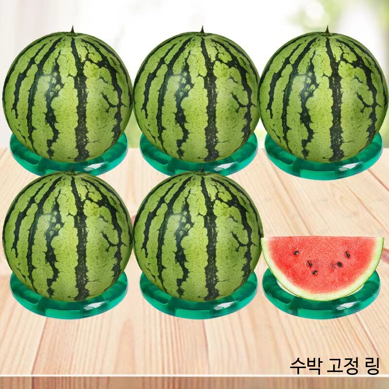 수박 받침대 디스플레이 메론 지지대 작물 다용도 과수 호박받침대 호박 소형 10개 - 상세 이미지 5