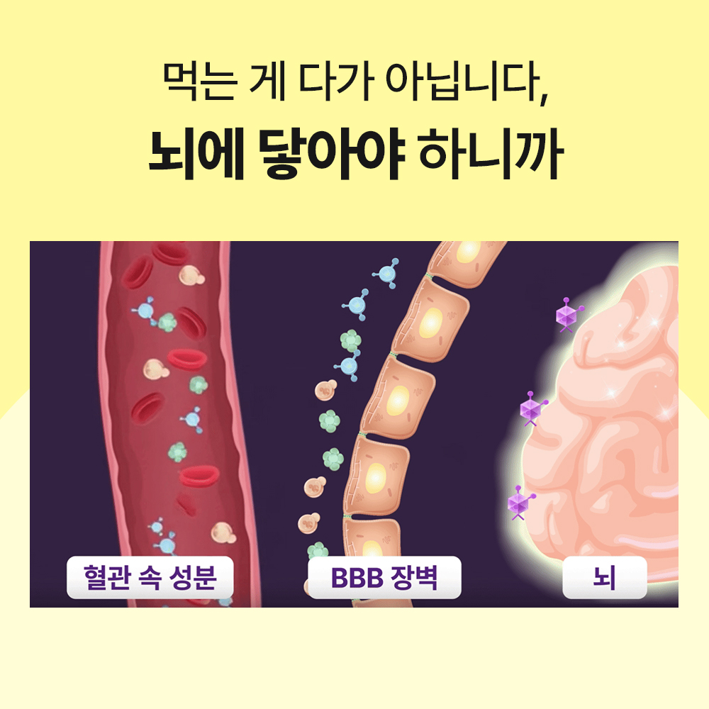 닥터바이 뉴로액티브 강아지 뇌 영양제 기억력 항산화 오메가3 노견 노령견 30포, 1개 - 상세 이미지 5
