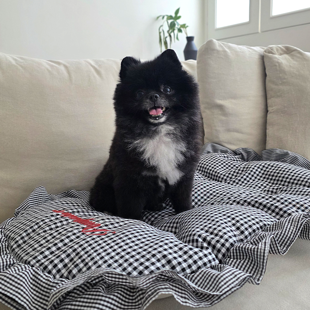 [고양이의날] 폼포라펫 강아지 체크 프릴 쿨라이너 세트 애견 유모차 쿨시트 여름 방석 개모차 대형견 쿠션 이미지 6