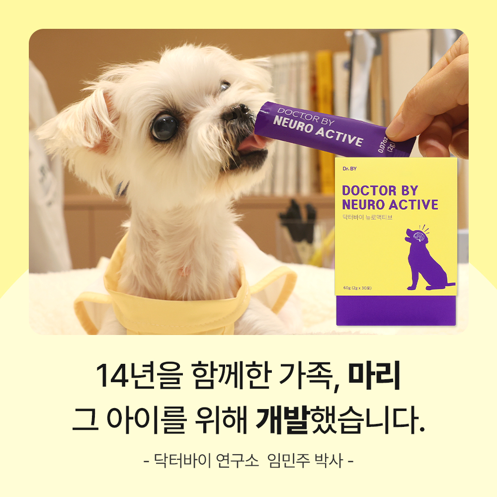 닥터바이 뉴로액티브 강아지 뇌 영양제 기억력 항산화 오메가3 노견 노령견 30포, 1개 이미지 7