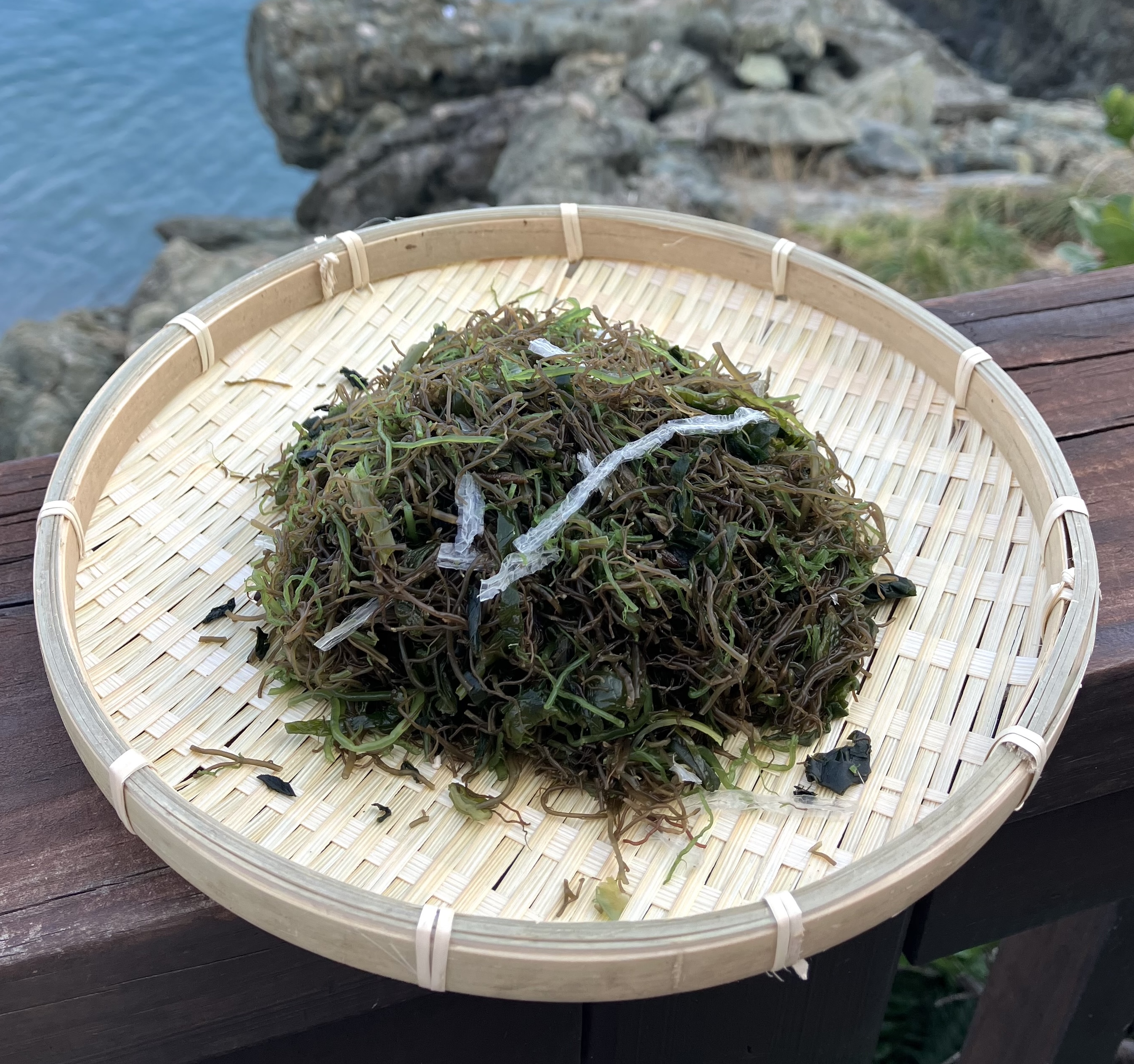 완도산 모듬해초 10kg 원산지 국산 전라남도 완도 - 상품 이미지