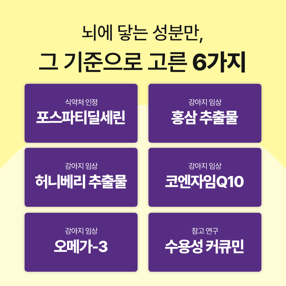 닥터바이 뉴로액티브 강아지 뇌 영양제 기억력 항산화 오메가3 노견 노령견 30포, 1개 이미지 6