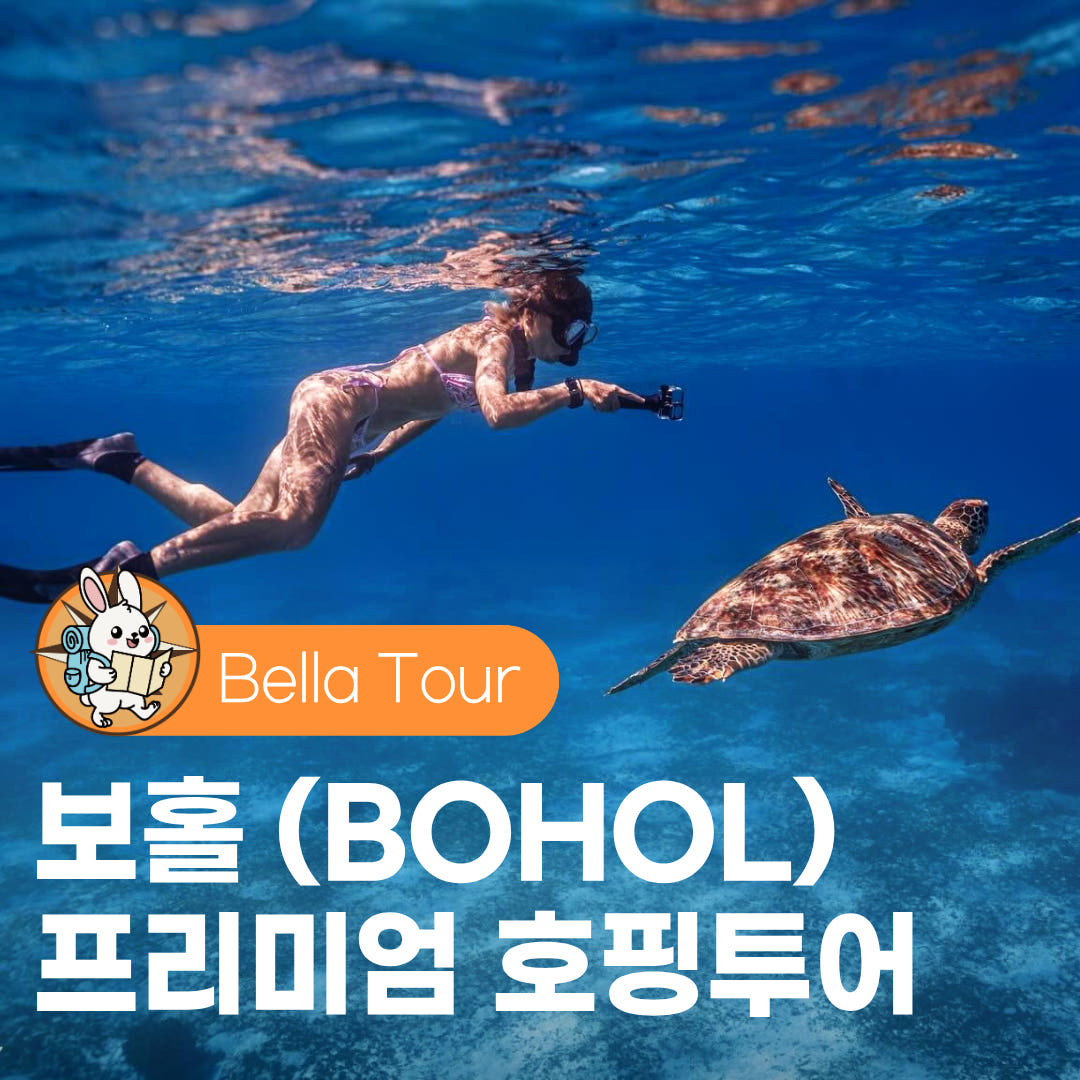 벨라투어 보홀 호핑투어 발리카삭 버진아일랜드 한국인가이드 거북이 스노쿨링 돌고래