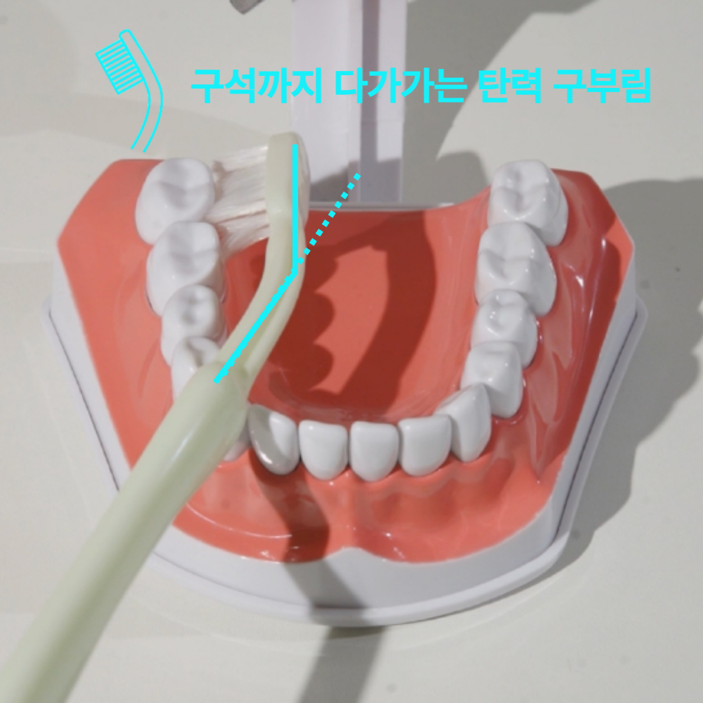 트윙티 쫀득 탄력 칫솔 잇몸엔 부드럽게 치아엔 밀착 이중미세모 (12개입) - 상세 이미지 4