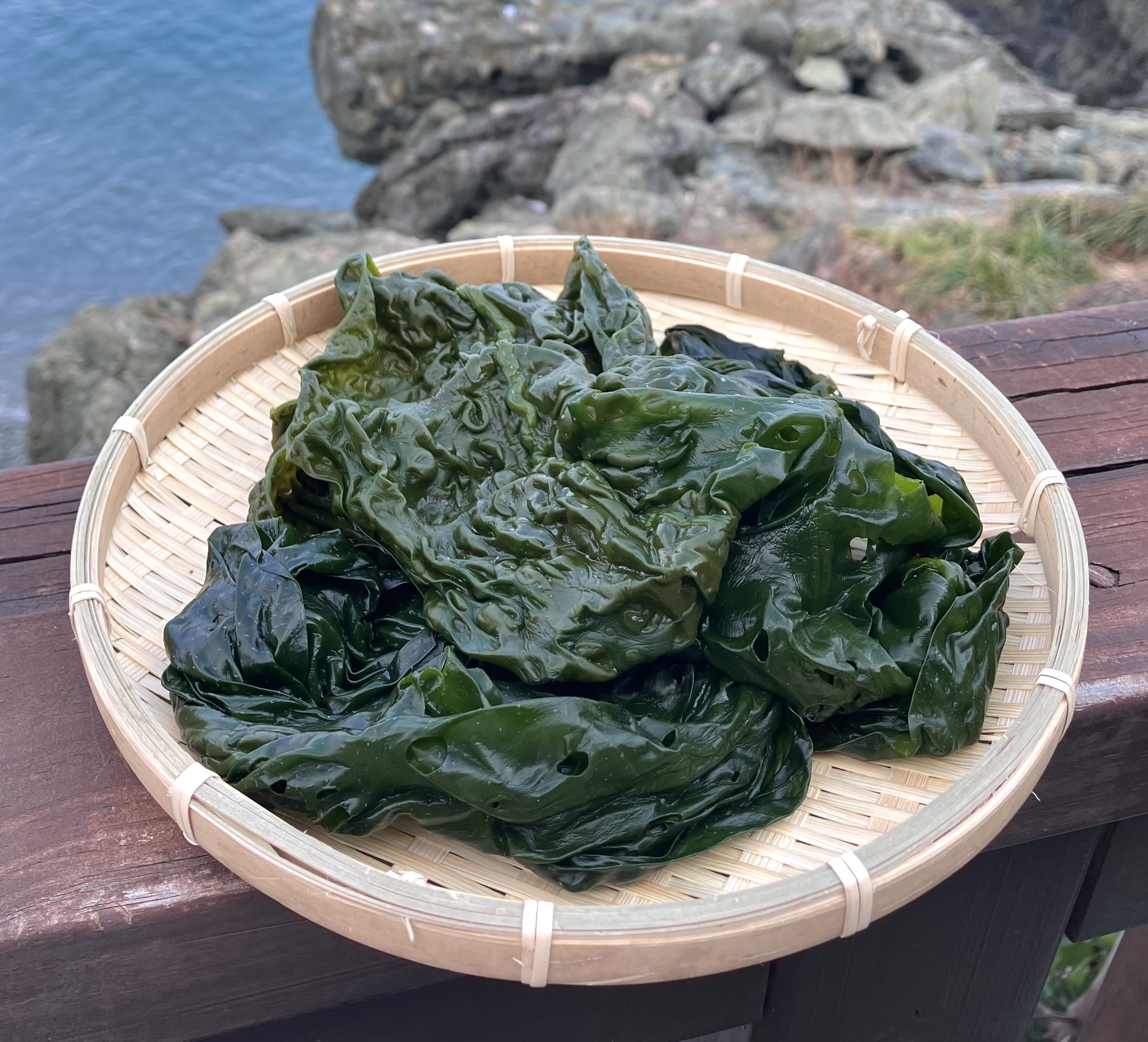 완도산 염장 곰피(쇠미역) 5kg 10kg 원산지 국산 전라남도 완도 - 상품 이미지