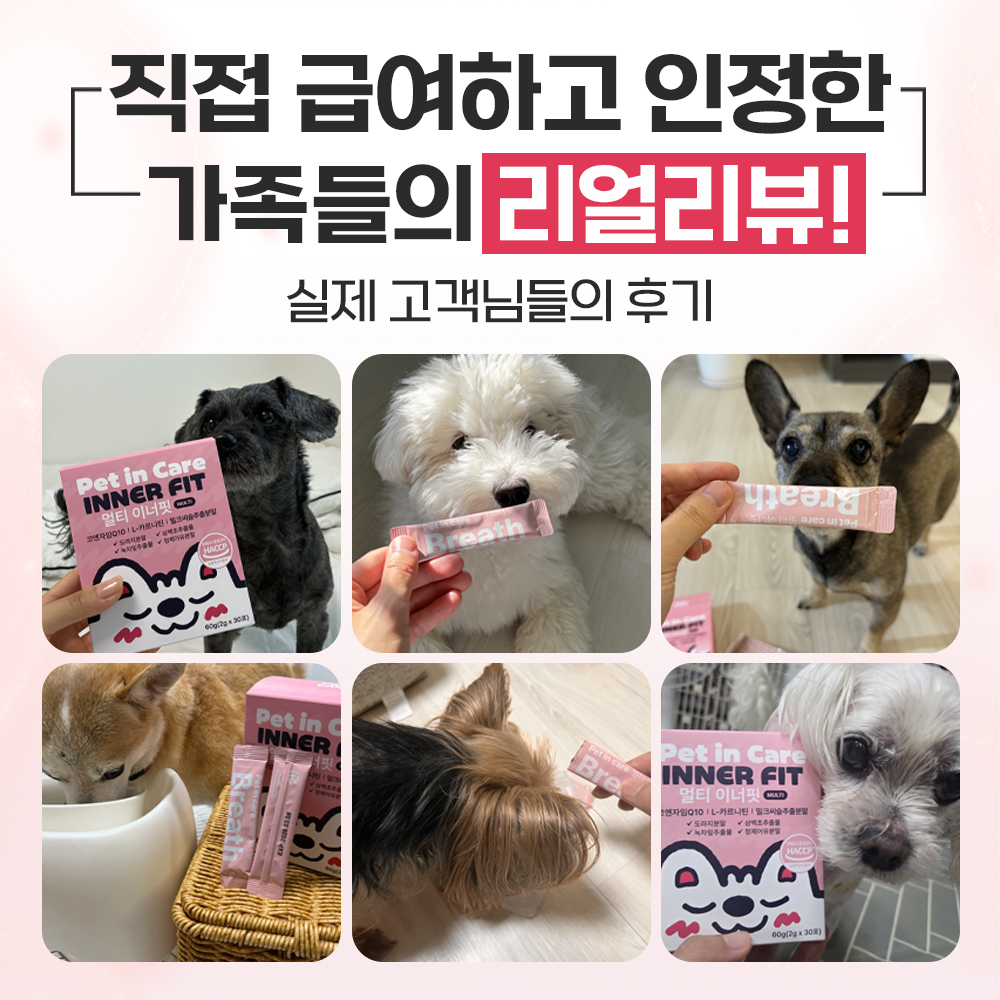 펫인케어 강아지 기관지 영양제 기침 켁켁거림 호흡기 협착증 멀티이너핏 30포, 1개 이미지 6
