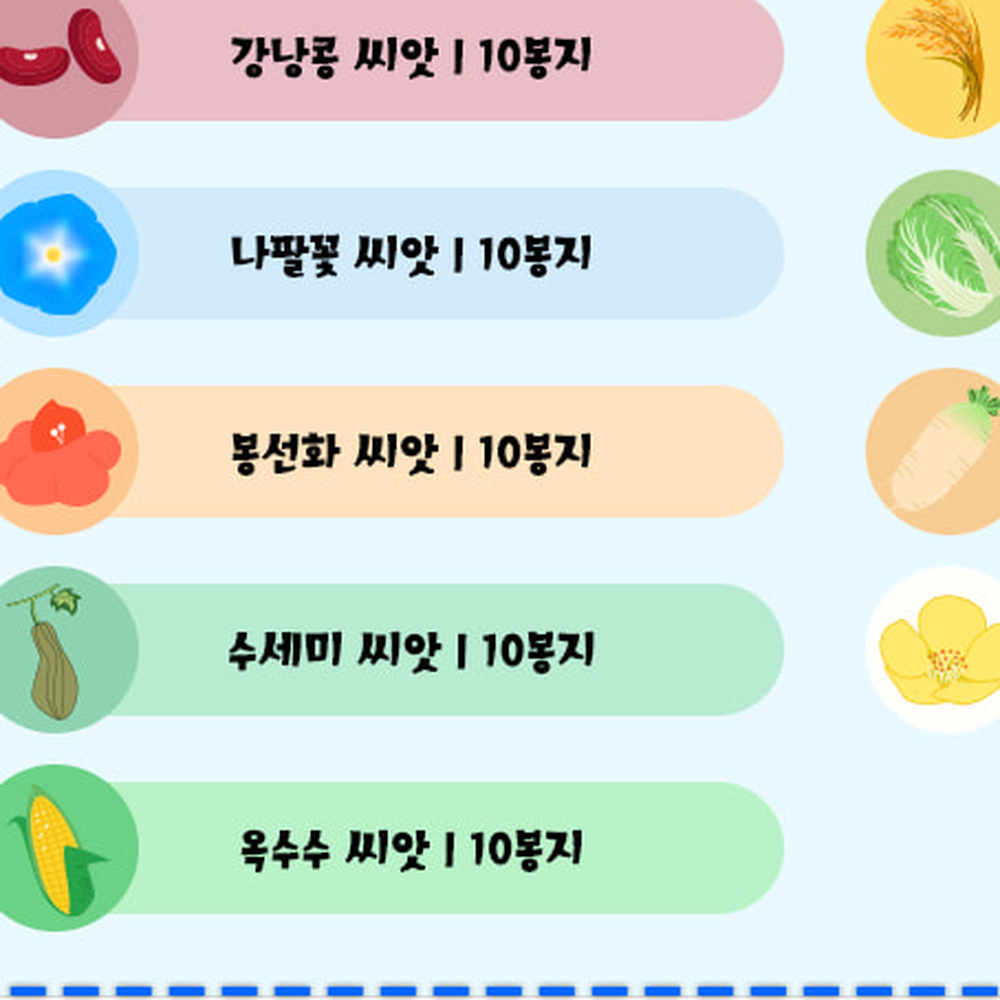 다년생식물재배꽃씨앗 노지재배화분키우기 홈가드닝모종키우기채송화씨앗 10매입 - 상세 이미지 2