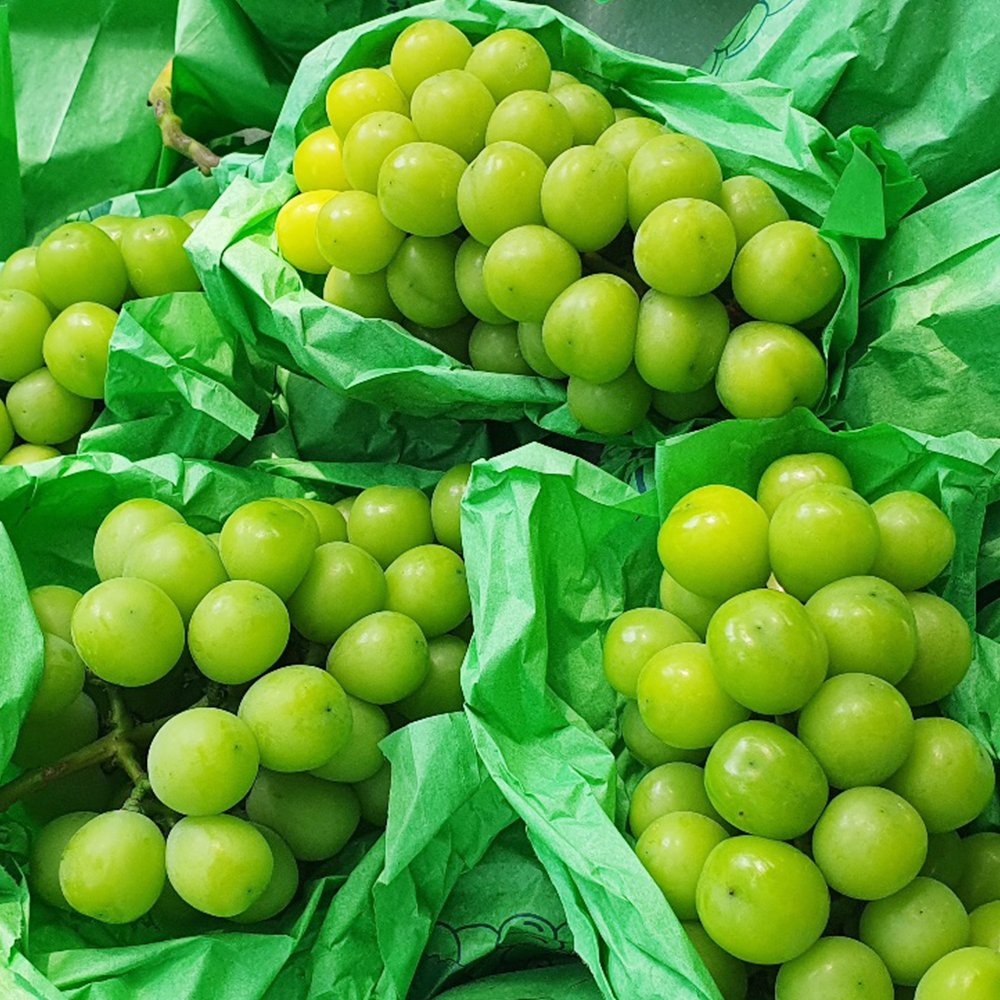고당도 15Brix이상 로얄과 샤인머스켓 1.3kg (2수) - 상품 이미지