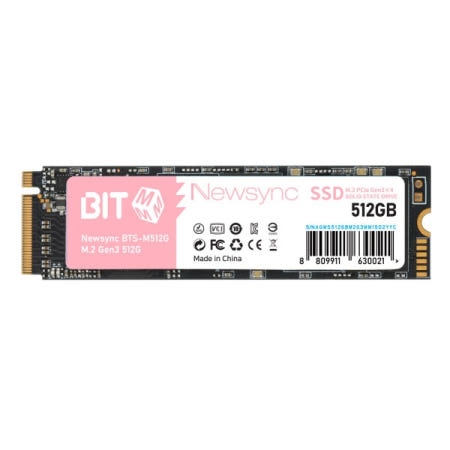 비트엠 비트엠 Newsync BITS M.2 NVMe (512GB)