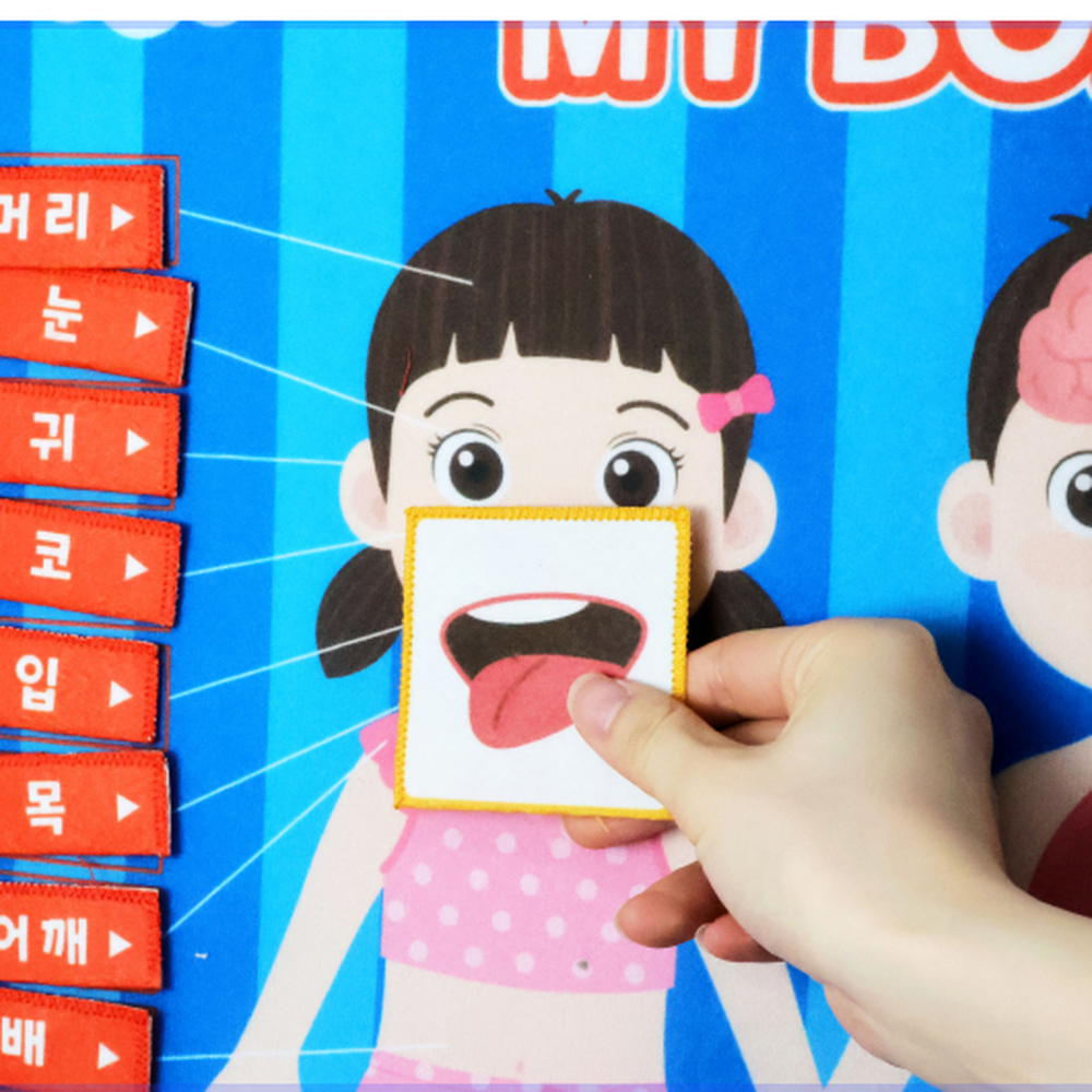 차트 소중한 나의 몸 배우기 - 상세 이미지 4