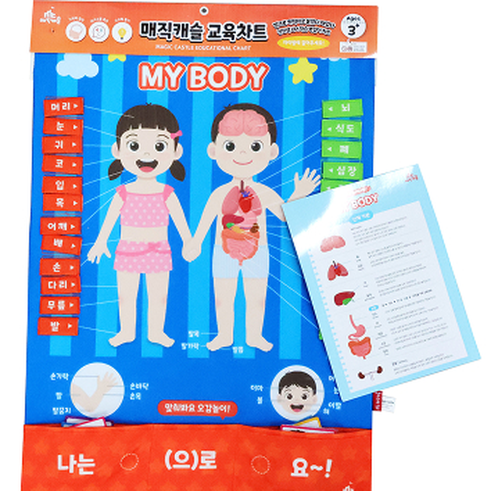 차트 소중한 나의 몸 배우기 - 상세 이미지 2