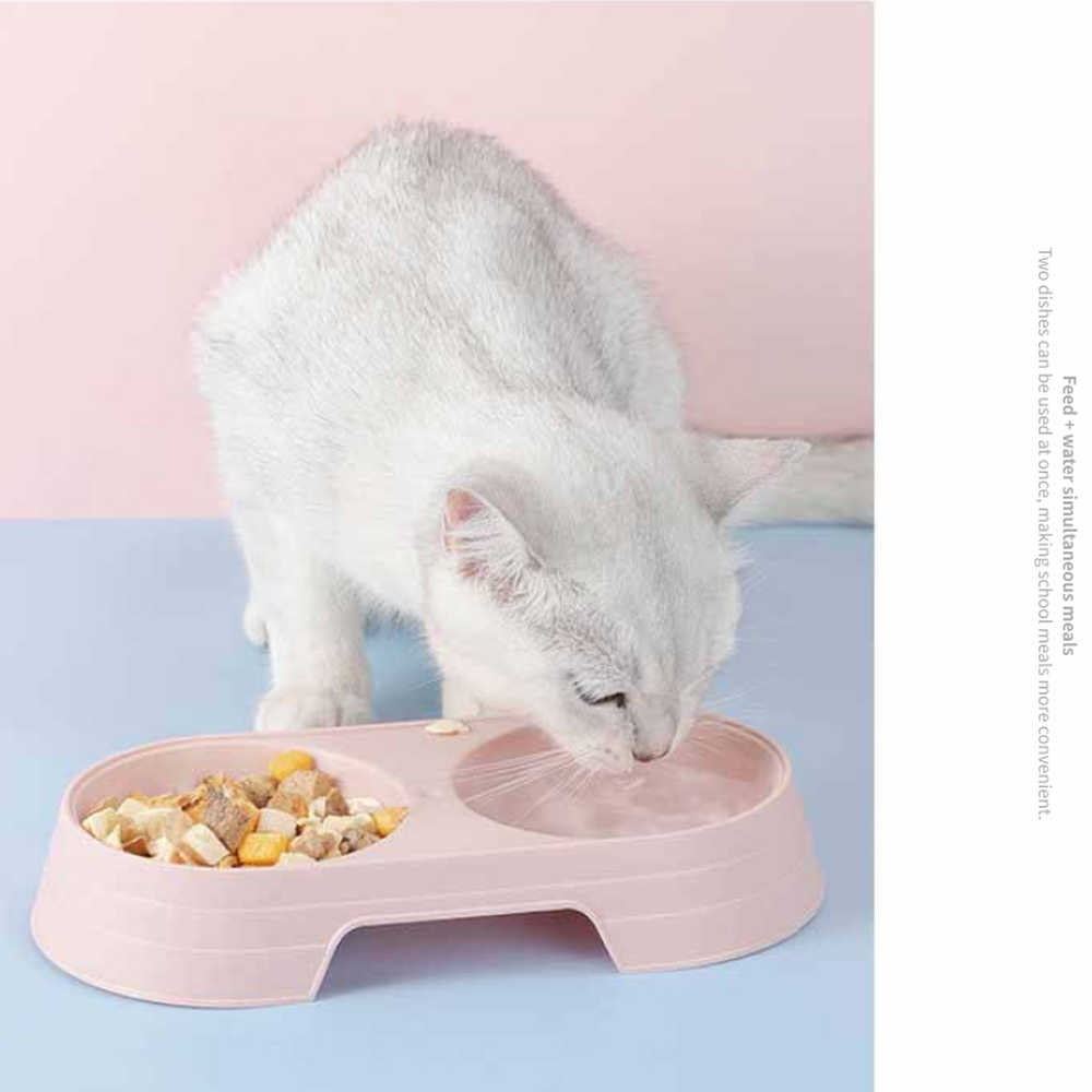 PP소재반려동물식기 위생적식사공간강아지밥그릇 더블볼사료그릇애완식기 1p 2구 - 상세 이미지 3