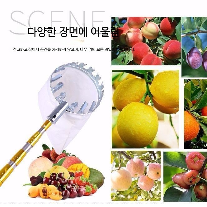 감 수확 장대 스테인리스따는기구 열매 고공 - 상세 이미지 4