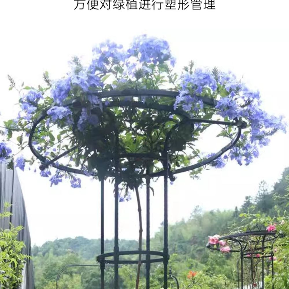 식물 지지대 텃밭 화이트 지주대 코팅 더블 소품 링 180c A. 상단 원형 우산 40cm - 상세 이미지 3