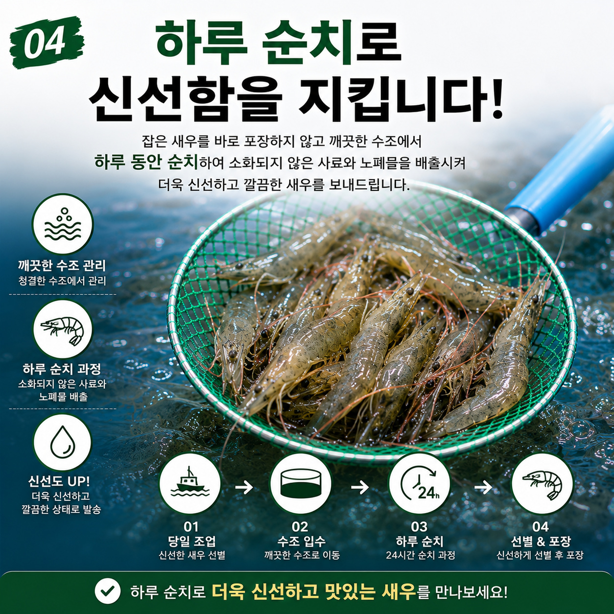 고흥산 활 흰다리새우 횟감용 500g 20~23미 산소포장 - 상세 이미지 5