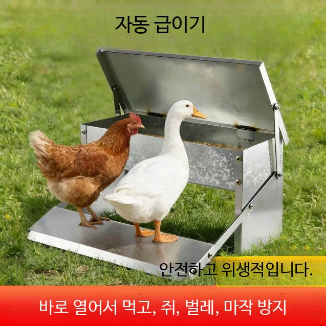닭모이통 페달식 자동 닭장 모이통 사료 급식 사료통 1. 5kg 스텐 닭모이통 - 상세 이미지 2