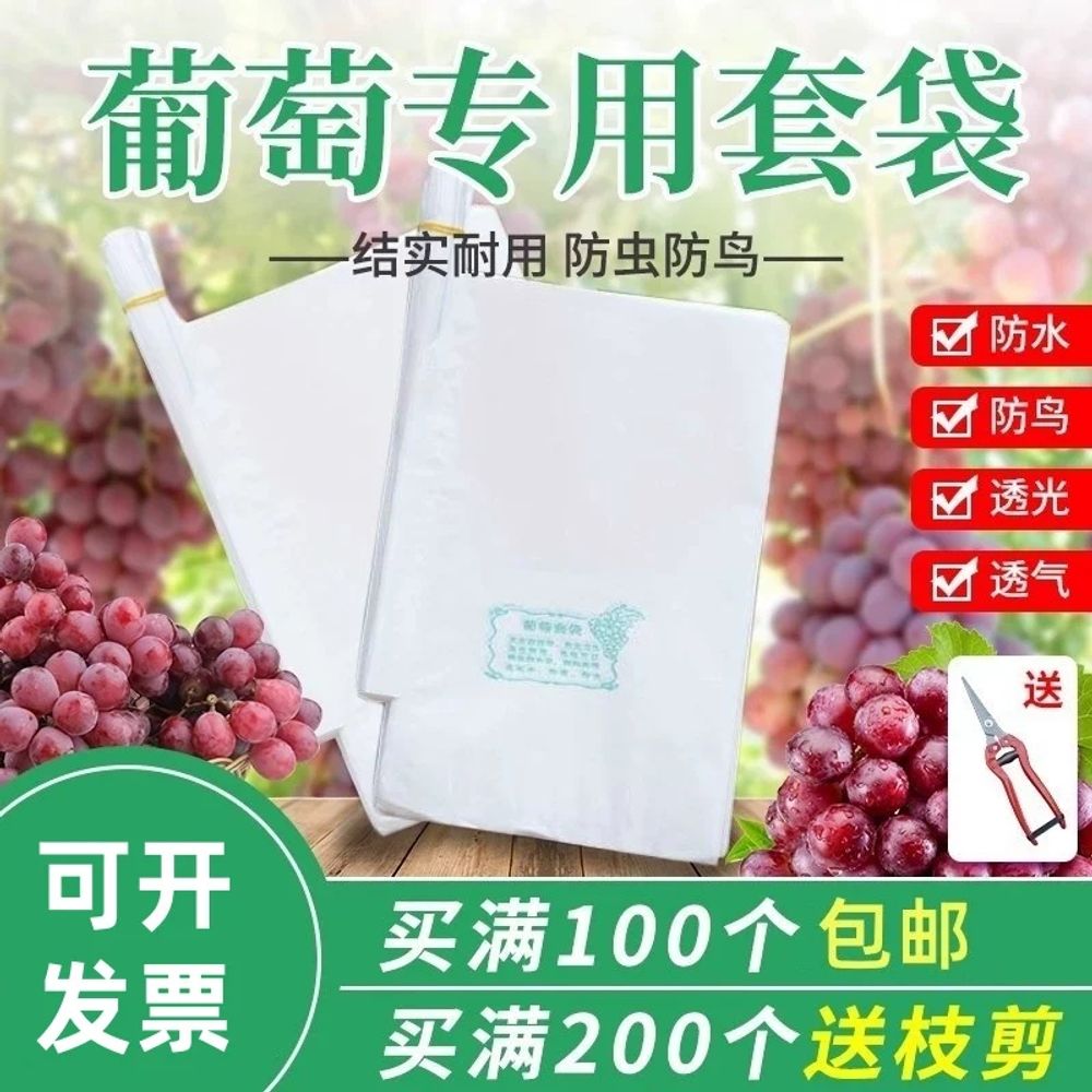 포도 보호 봉지 사과 포장지 배 전용 식물 해충 종이 A. 포도봉투 20x30cm 10개 - 상품 이미지