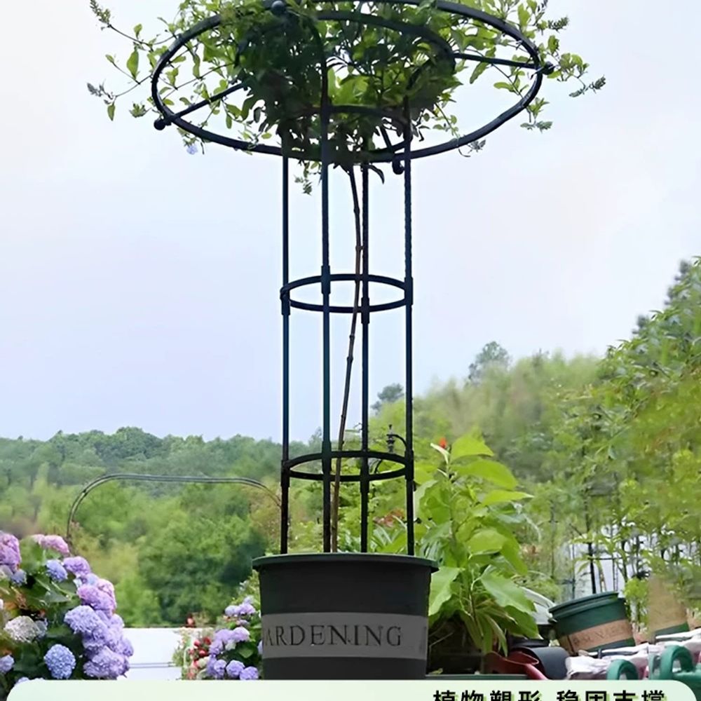 식물 지지대 텃밭 화이트 지주대 코팅 더블 소품 링 180c A. 상단 원형 우산 40cm - 상품 이미지