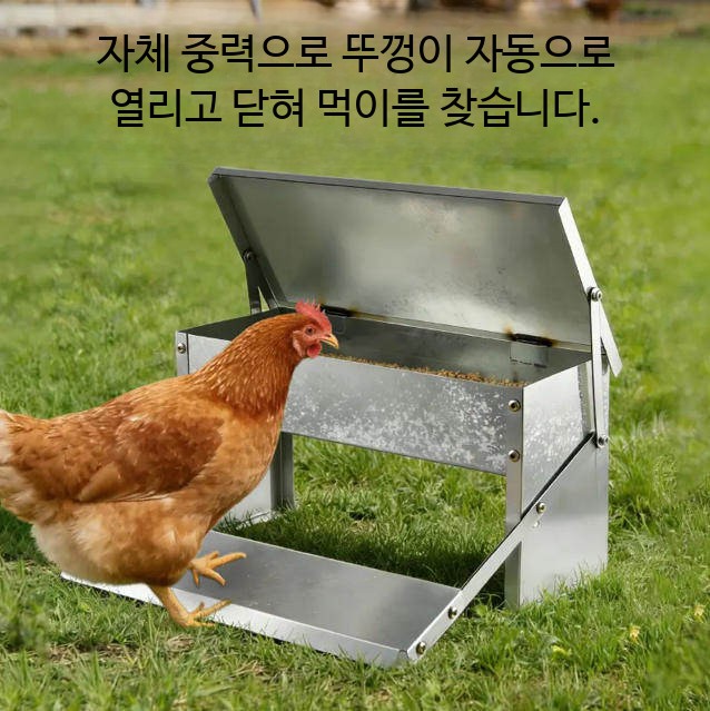 닭모이통 페달식 자동 닭장 모이통 사료 급식 사료통 1. 5kg 스텐 닭모이통 이미지 6