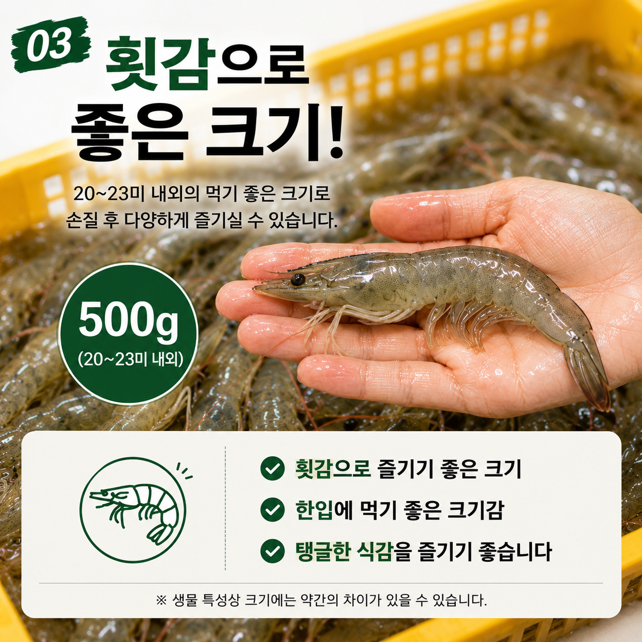 고흥산 활 흰다리새우 횟감용 500g 20~23미 산소포장 - 상세 이미지 4