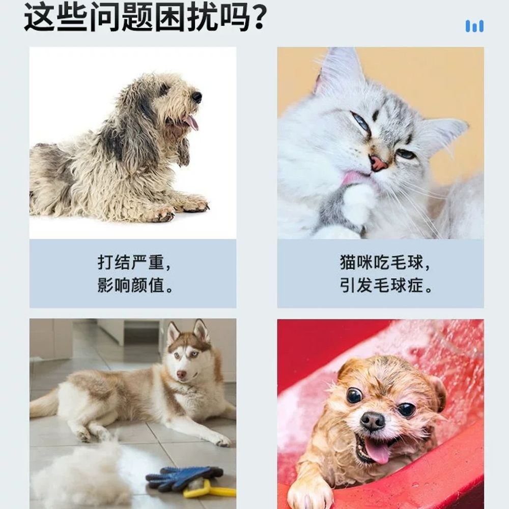 펫전용 털 제거 브러쉬 반려동물 저자극 브러시 제거 엉킴 양면 빗브 A. 블루 장모용 빗 - 상세 이미지 2