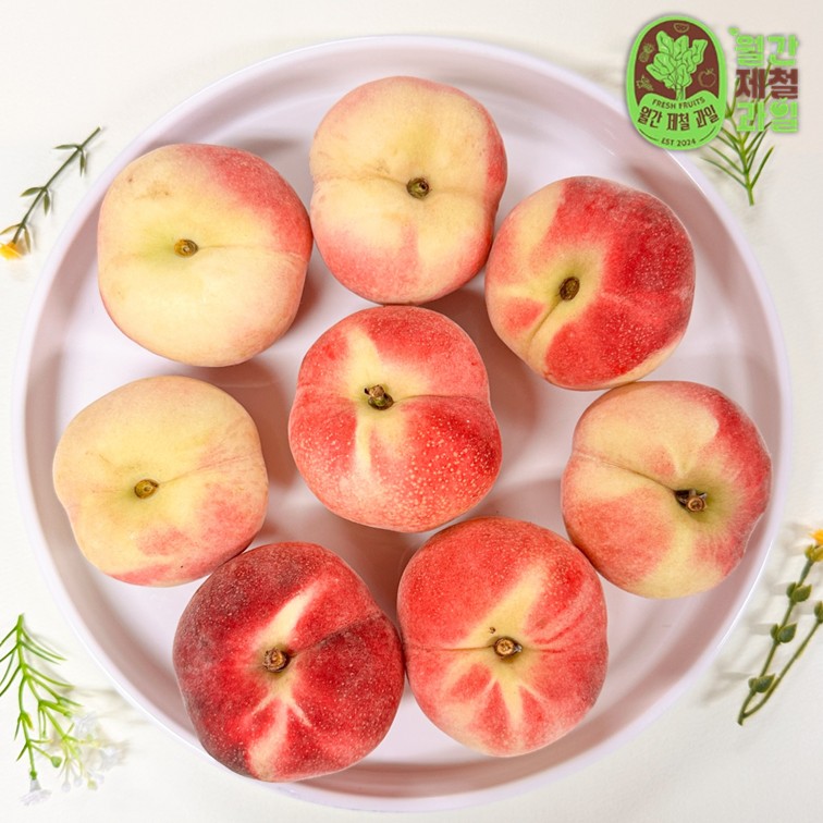 대극천복숭아 딱복 납작복숭아 딱 딱딱한 딱딱이복숭아 천도 망고복숭아 오월도 물복숭아 물복 상품 이미지