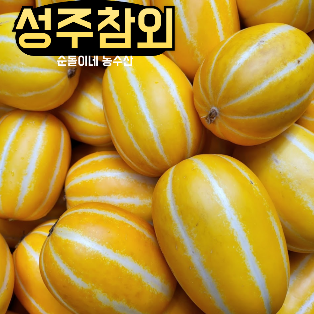 고당도 성주 참외 선물용 여름 과일 산지직송 중과, 10kg, 1개 - 상품 이미지