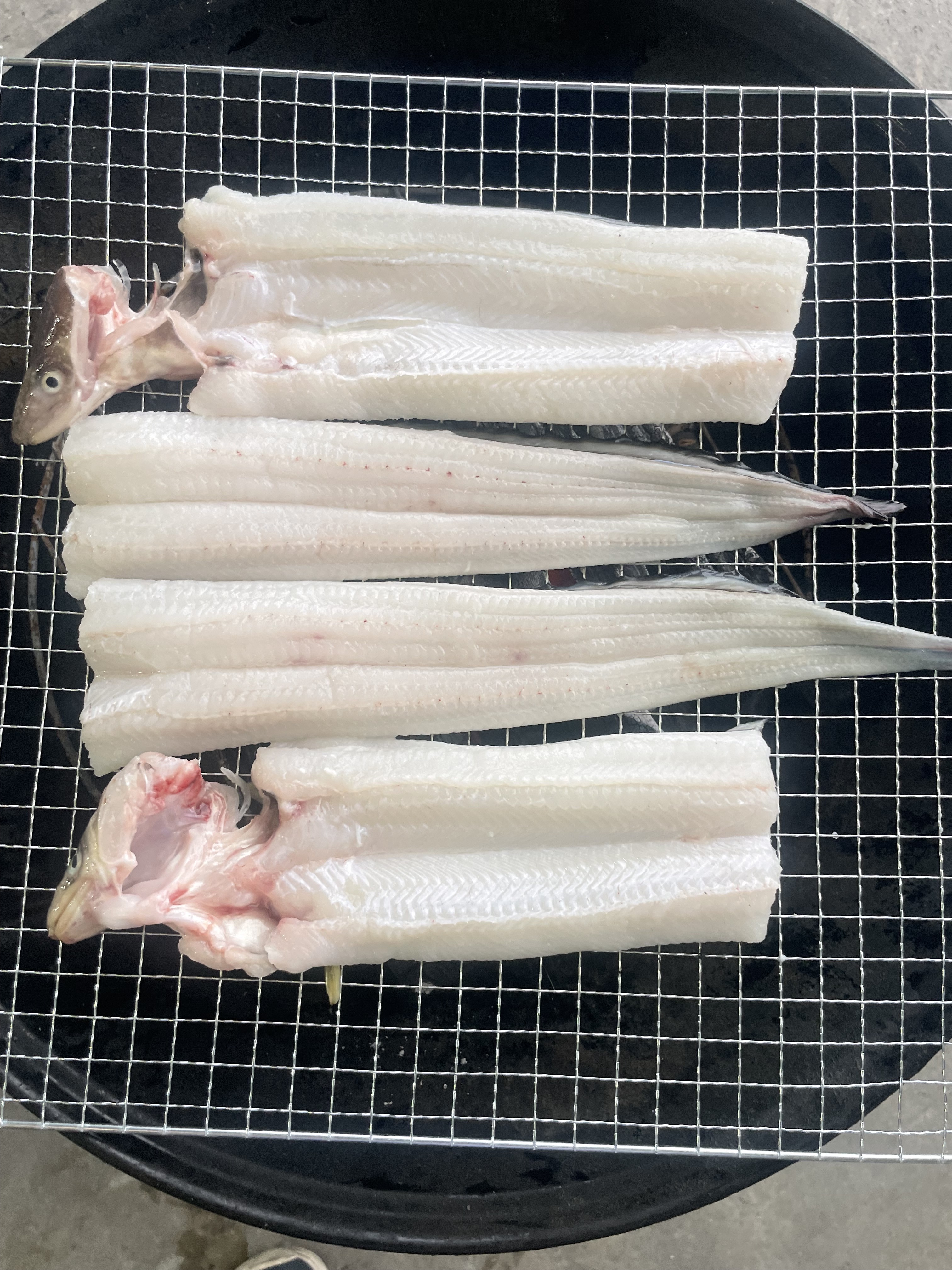 경남통영 자연산 돌장어 , 손질 장어1kg (손질후 800g~850g)양념2가지맛포함 이미지 7