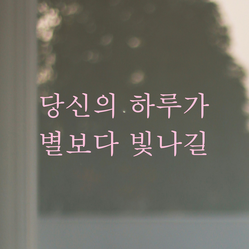 레터링 스티커 당신의 하루가 별보다 빛나길 검정S 19.5x7.5cm 거울 카페 유리창 - 상세 이미지 3