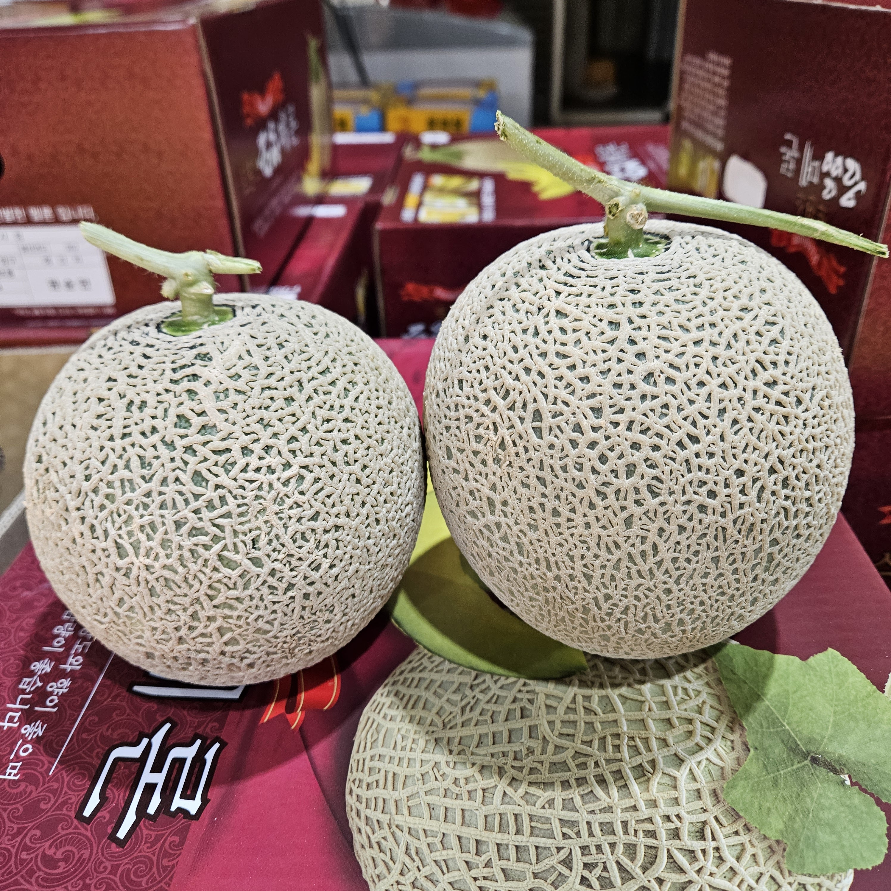 신선마켓 머스크 멜론 1.5kg, 2개 - 상세 이미지 4