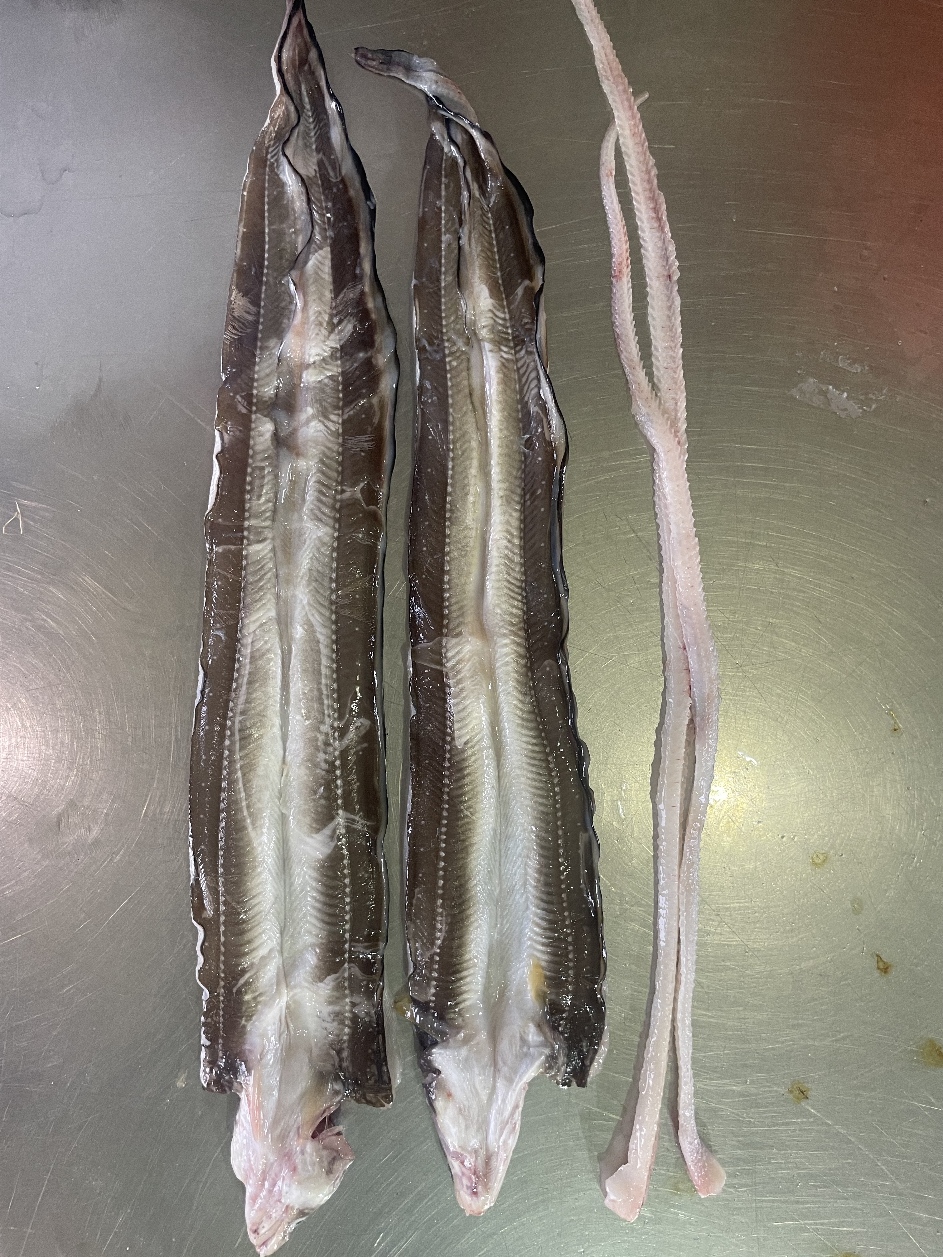 경남통영 자연산 돌장어 , 손질 장어1kg (손질후 800g~850g)양념2가지맛포함 이미지 6