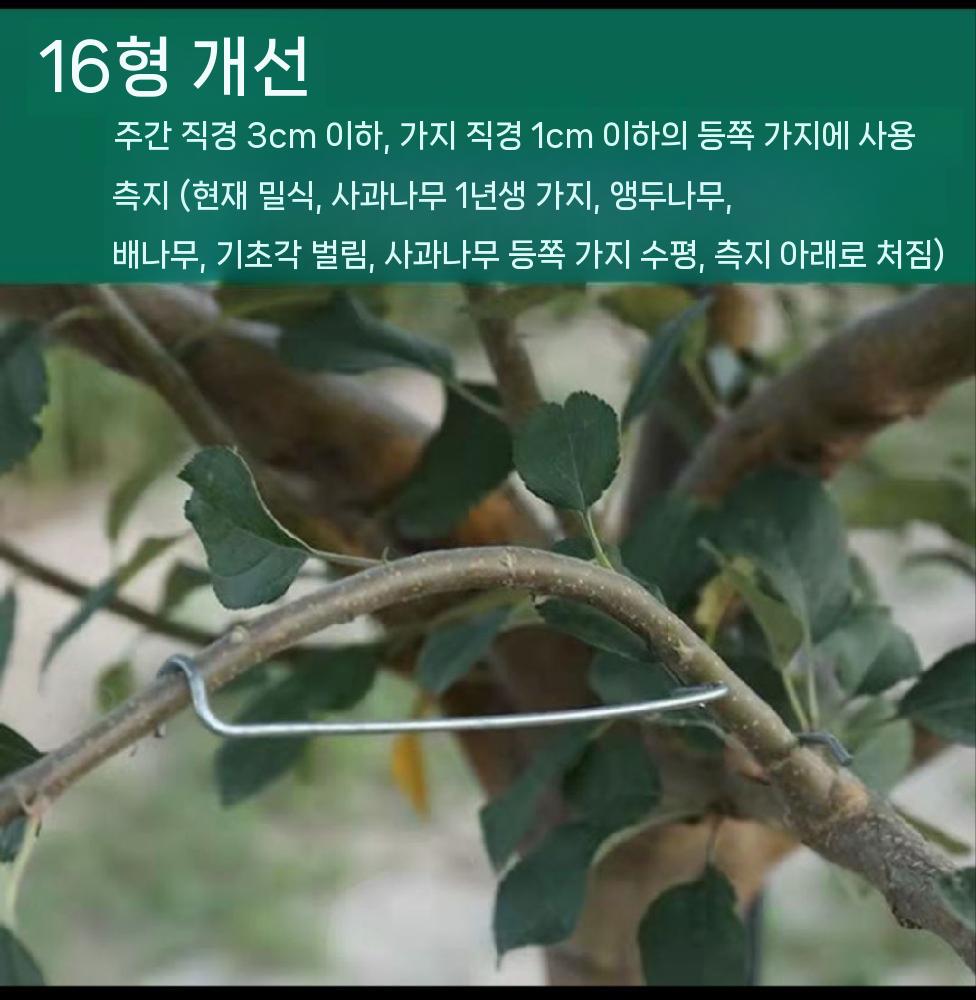 사과나무 고정기구 지주대 가지유인 귤나무 개량형 가지 당기기 도구 샘플 세트 36T 40개 - 상세 이미지 4