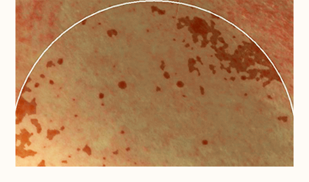 crème solaire astaxanthine marine coréen