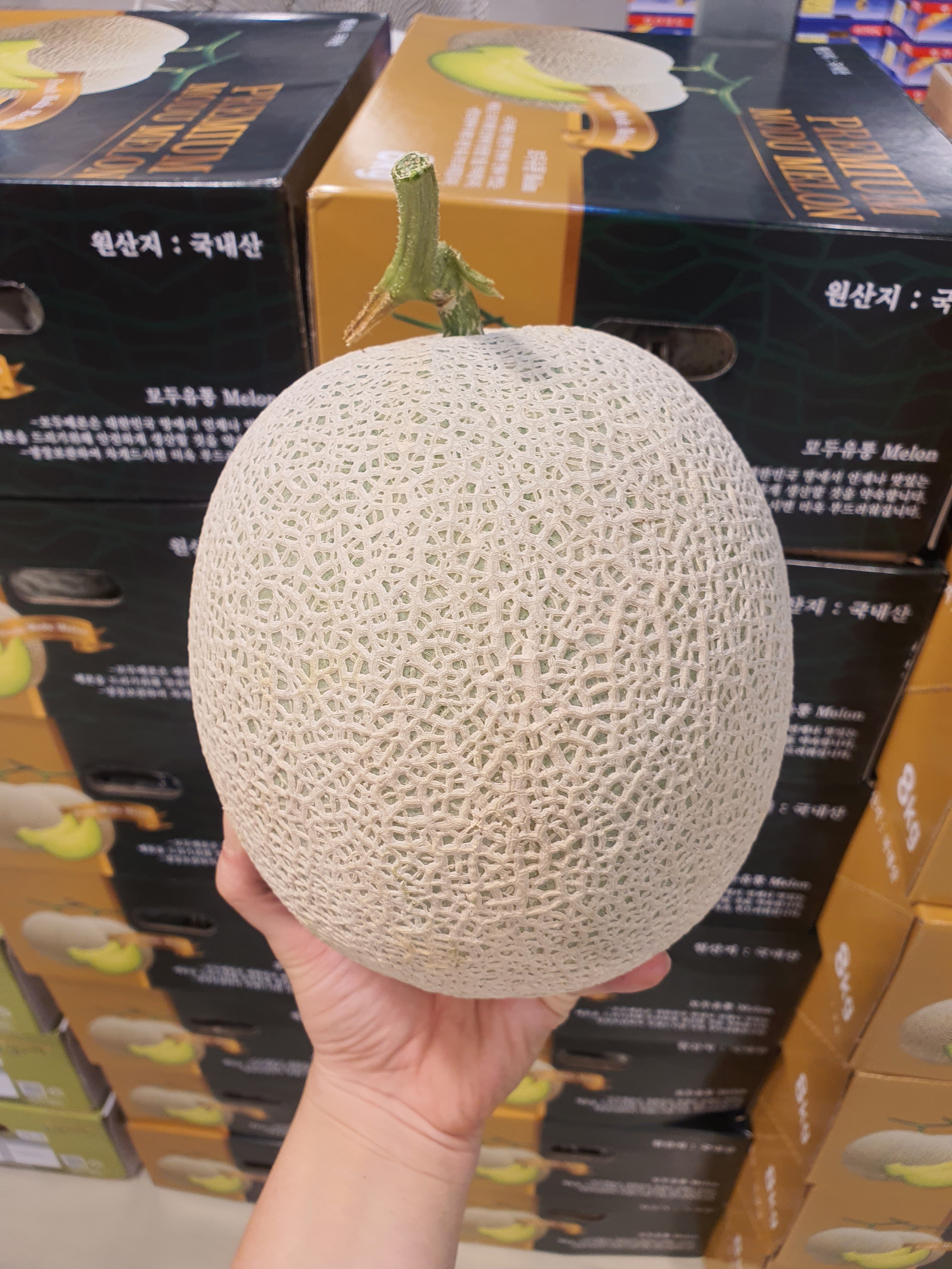 신선마켓 머스크 멜론 1.5kg, 2개 - 상품 이미지