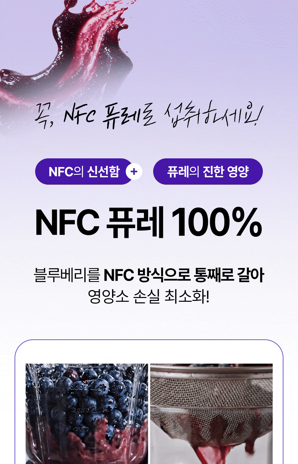 트루알엑스 NFC 퓨레 블루베리 100, 1스틱58알,착즙원액x 농축액x 14포, 7개 판매처 상세 정보 이미지 2