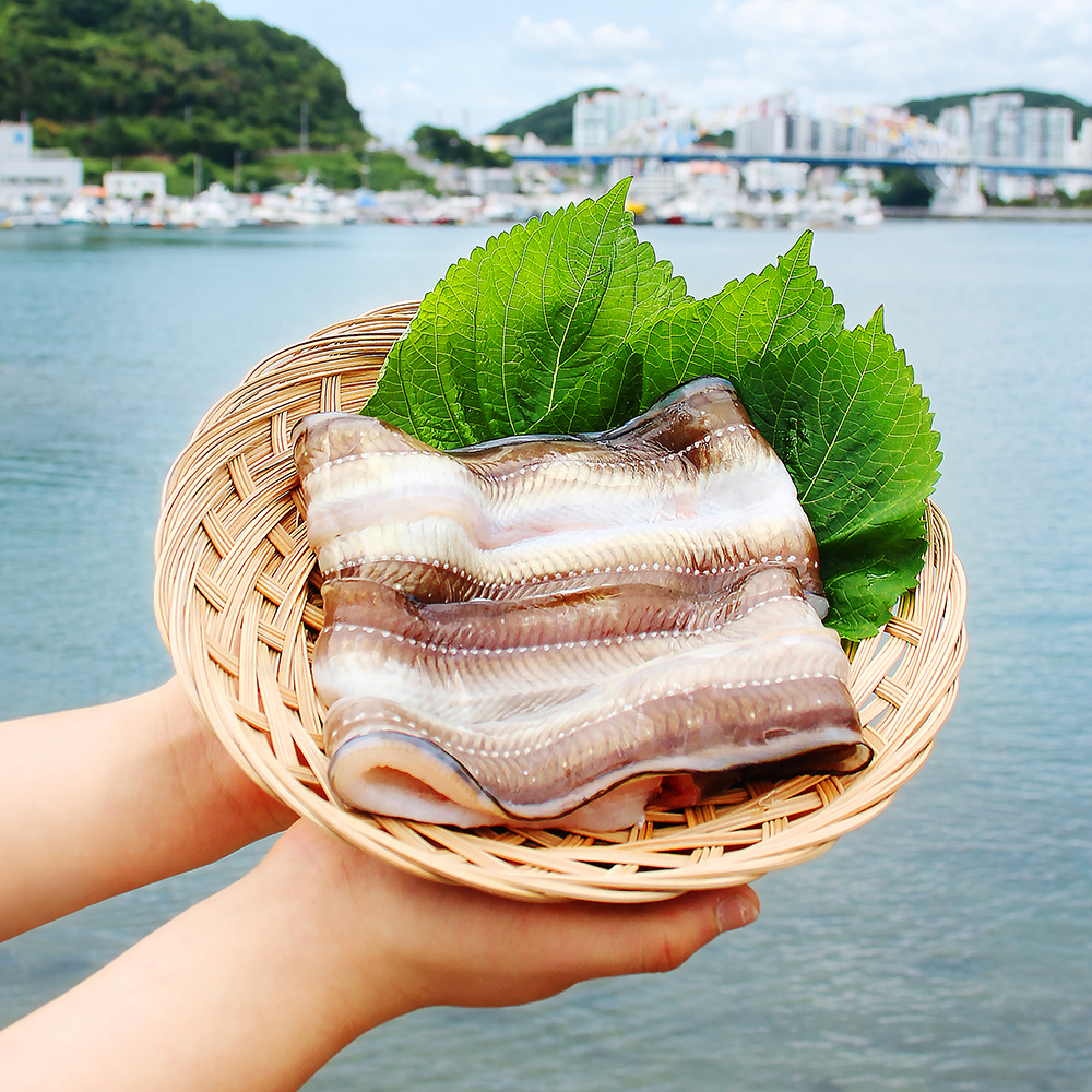통영 바다장어 1KG 손질후 800g 아나고 붕장어 장어구이 손질장어 - 메인 이미지