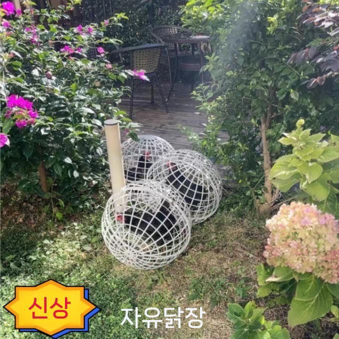 닭 원형 케이지 운반 병아리 비둘기 둥지 조류 방목 30cm - 상세 이미지 4
